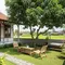 Desain Rumah Desa dengan Area Santai Bawah Pohon Mangga. (Foto: AI)