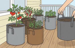 Sistem Grow Bags Ringan merupakan salah satu desain kebun sayur di rumah yang gampang dipindah-pindah (Gemini AI)