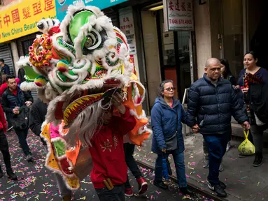 Seorang peserta memainkan Barongsai saat menyusuri Chinatown selama festival budaya perayaan Imlek di New York City (16/2). Warga Tionghoa bersama berbaur dengan masyarakat sekitar turun ke jalan memadati kawasan Chinatown. (Drew Angerer/Getty Images/AFP)