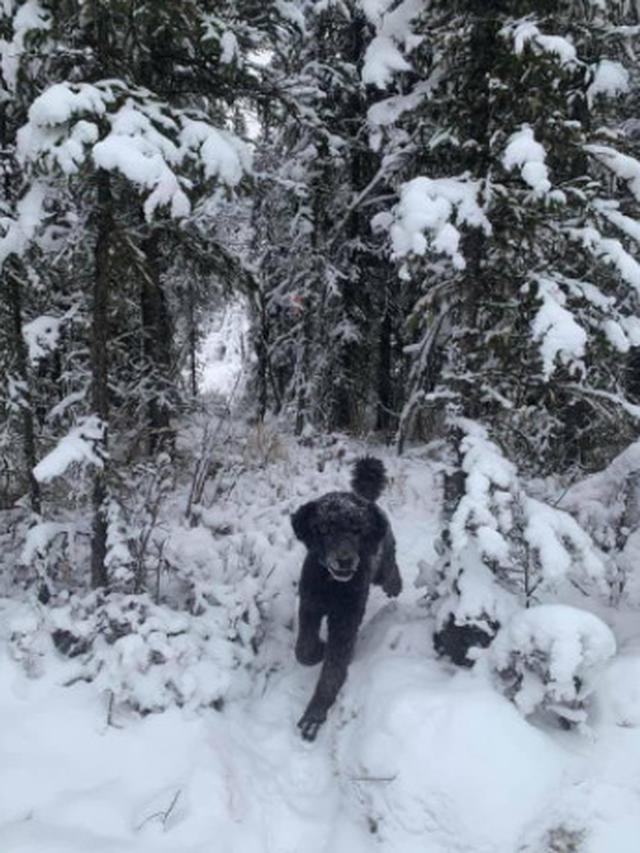 6 Potret Ilusi Optik Ini Justru Terlihat Seram, Bikin Merinding