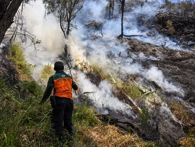 Petugas berupaya memadamkan kebakaran hutan di kawasan Taman Nasional Bromo Tengger Semeru (TNBTS), Kabupaten Probolinggo, Jawa Timur, Kamis (6/8/2026). (AFP/ Juni Kriswanto)