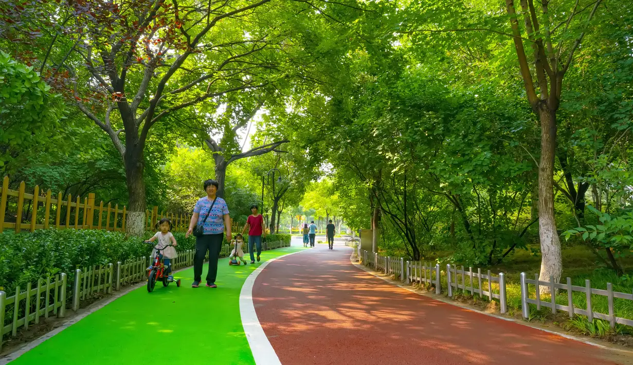Orang-orang berjalan di "jalur hijau" di sebuah taman di Kota Tangshan, Provinsi Hebei, China utara (10/7/2020). Fase pertama dari proyek "jalur hijau" ini, yang meliputi delapan jembatan wisata dan menghubungkan beberapa taman kota, telah memasuki tahap operasional uji coba. (Xinhua/Yang Shiyao)