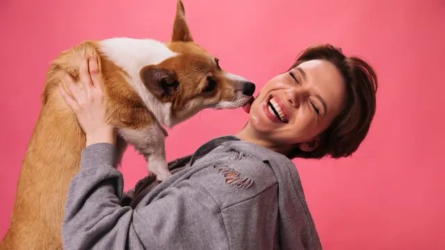 Dog Lick