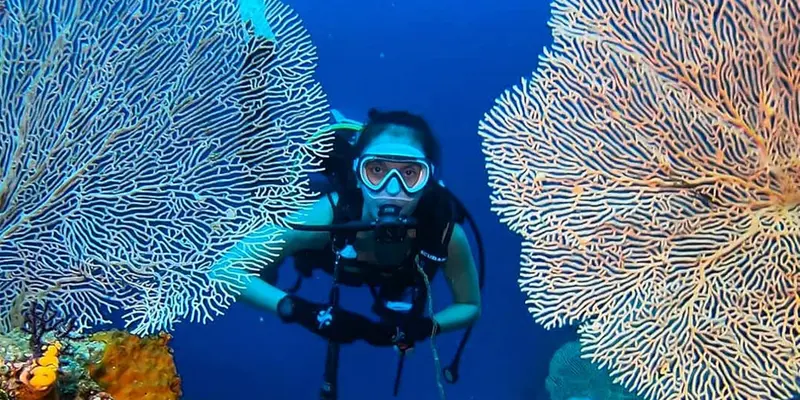FOTO: Gaya Widika Sidmore saat Diving, Nikmati Pemandangan Bawah Laut - Photo Liputan6.com