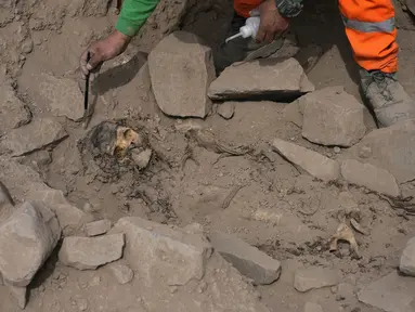 Seorang arkeolog menggali mumi pra-Hispanik yang ditemukan di sebelah lapangan latihan tim sepak bola profesional Peru di lingkungan El Rimac, Lima, Peru, Kamis (15/6/2023). Penggalian hingga penemuan mumi dilakukan mahasiswa dari Universitas San Marcos dan sejumlah arkeolog. (AP Photo/Martin Mejia)