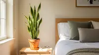 5 Alasan Tanaman Lidah Mertua Wajib Ada di Kamar Tidur Anda Tahun 2026