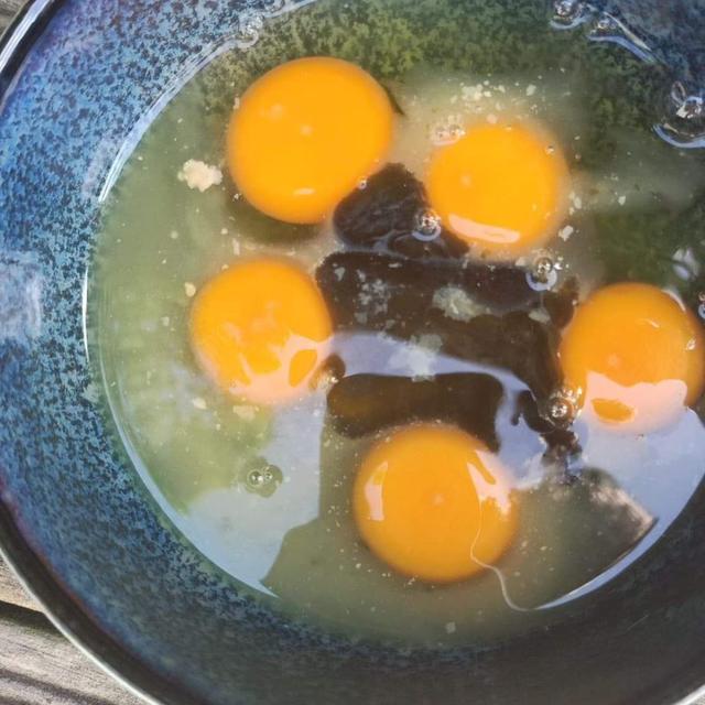 6 Momen Apes ketika Pecahkan Telur Ini Bikin Elus Dada, Jadi Malas Masak