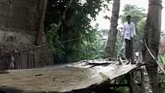 liputan6