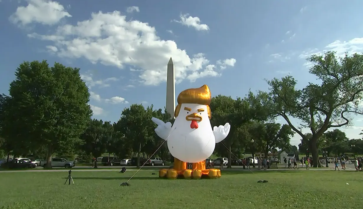 Sebuah balon raksasa berbentuk ayam berjambul emas diletakkan di Taman Ellipse, menghadap ke Gedung Putih, Washington DC, 9 Agustus 2017. Balon ayam raksasa tersebut cukup terlihat mirip dengan Presiden Donald Trump apalagi bagain rambutnya. (AP Photo)