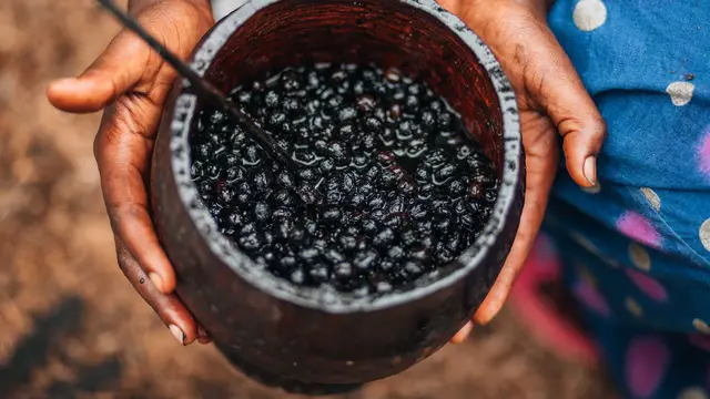 Acai Berries