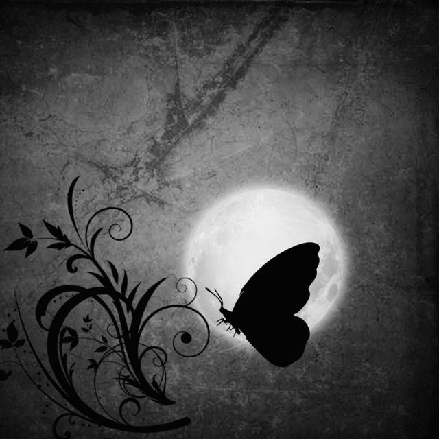 Jejak Kupu Kupu Malam Peunayong Serambi Makkah Regional Liputan6 Com