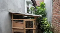 7 Model Kandang Ayam 3–5 Ekor untuk Rumah Kecil yang Hemat Lahan dan Tetap Nyaman