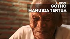 Jika benar Mbah Gotho, asal Sragen, lahir 31 Desember 1870 silam, Ia pantas menyandang gelar manusia tertuda di dunia. Berusia 145 tahun, Mbah Gotho melampaui rekor manusia tertua dari Jepang yakni 112 tahun. 