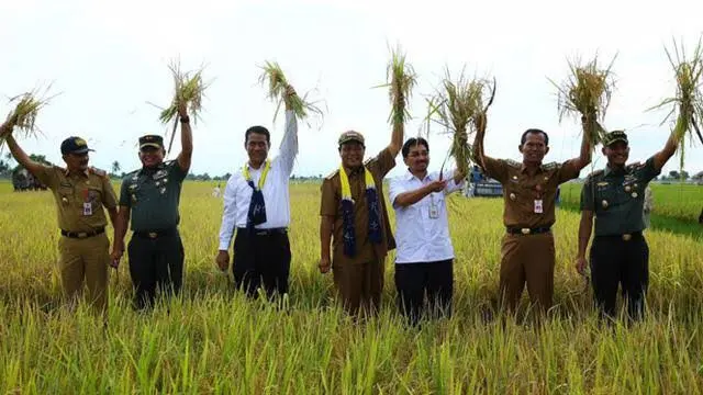 Dirjen PSP Kementan Tinjau Program Serasi di Kabupaten Banjar