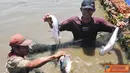 Citizen6, Banjar: Kabupaten Banjar merupakan salah satu kawasan minapolitan berbasiskan perikanan budidaya, dengan komoditas unggulannya ikan patin dan komoditas pendukung ikan nila serta ikan mas. (Pengirim: Efrimal Bahri) 
