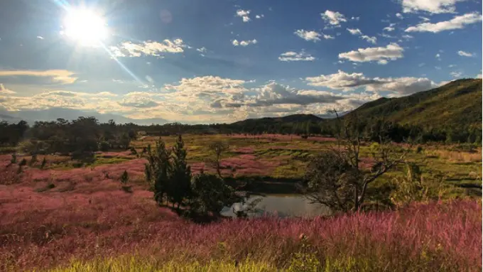 Festival Budaya Lembah Baliem
