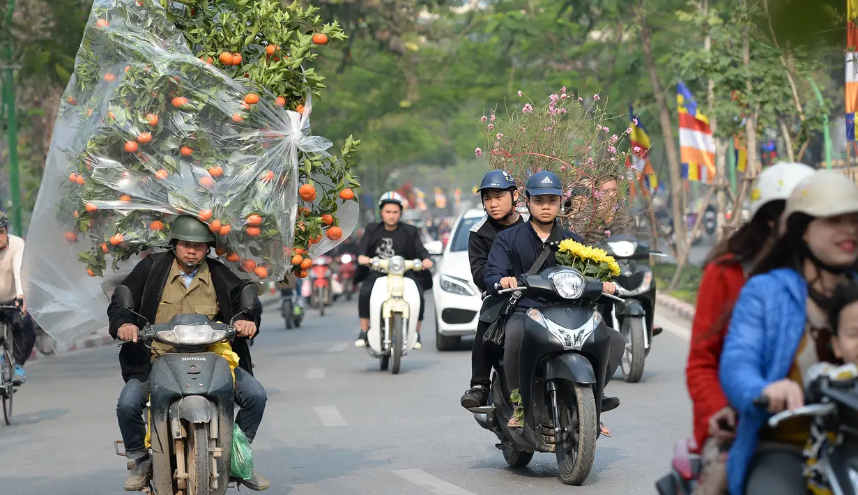Warga mengangkut pohon Kumquat dan bunga Persik untuk menyambut Tahun Baru Imlek di Hanoi, Vietnam, Rabu (25/1). Tahun Baru Imlek - yang dikenal secara lokal sebagai Tet - merupakan hari libur Vietnam yang paling penting. (Hoang DINH Nam/AFP)