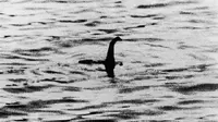 Monster Loch Ness (telegraph.co.uk)