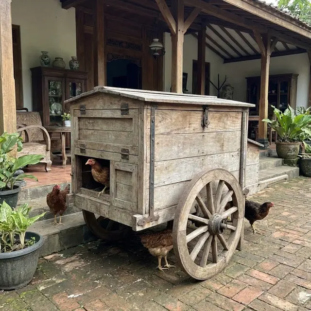 Kandang Ayam Kate Estetik di Teras