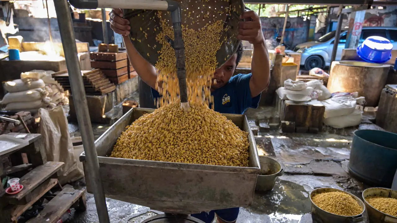 Harga Kedelai Naik Bertahap, Perajin Tahu di Jawa Timur Tertekan Biaya Produksi