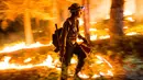 Petugas pemadam saat berusaha memadamkan api di Hutan Nasional Sierra, California, AS, Jumat (21/8/2015).  Daerah California telah mengalami musim kemarau terburuk akhir – akhir ini. (REUTERS/Max Whittaker)  
