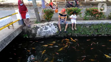 Warga memberi makan ikan yang dikembangbiakkan di saluran air di Perumahan Puri Pamulang, Tangerang Selatan, Selasa (8/9/2020). Selokan sepanjang 400 meter yang dulu kumuh, kini disulap menjadi kolam ikan untuk hiburan dan meningkatkan perekonomian warga dengan menjualnya. (merdeka.com/Arie Basuki)