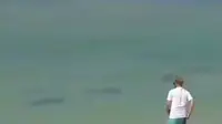 Video hiu bermunculan di pesisir Pantai Peninsula, Nusa Dua, Bali, mendadak viral di media sosial. (Liputan6.com/Istimewa)
