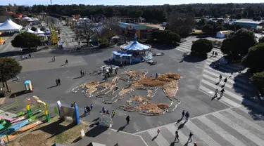 Pandangan dari atas pengunjung melihat gambar seekor anjing Shiba Inu dan dua anaknya berukuran 22.5mx 27m di Taman Seaside Hitachi, Utara Tokyo, (29/12). Kegiatan tersebut untuk merayakan kedatangan Tahun Anjing. (AFP PHOTO / Toshifumi Kitamura)