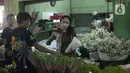 Pembeli memilih bunga yang dijual di Pasar Rawa Belong Jakarta, Jumat (29/10/2021). Status PPKM di DKI Jakarta yang diturunkan dari level 3 menjadi level 2 berimbas dengan penjualan bunga untuk dekorasi pernikahan yang kembali ramai, seperti di Pasar Bunga Rawa Belong. (Liputan6.com/Johan Tallo)