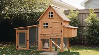 7 Desain Kandang Ayam Backyard Rustic tapi Higienis, Solusi Estetik dan Bebas Bau