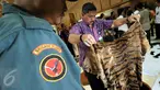 Petugas Kementerian Lingkungan Hidup dan Kehutanan (KLHK) menunjukkan kulit harimau saat menggelar barang bukti perdagangan hewan langka dan dilindungi di kantor KLHK, Jakarta, Jumat (15/1). (Liputan6.com/Johan Tallo)