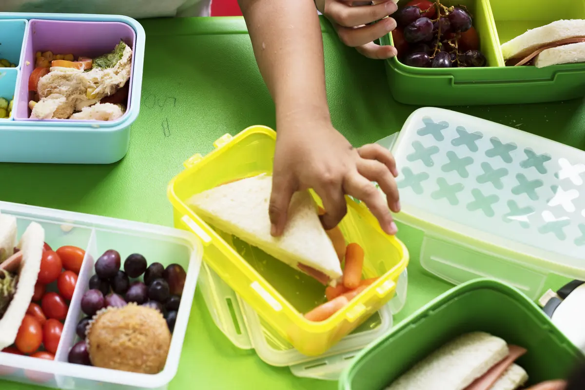 Ilustrasi bekal anak