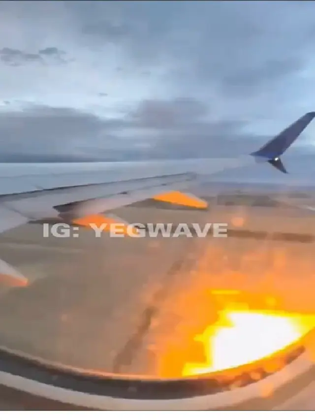 Kelinci Terjebak di Mesin Pesawat, Picu Kebakaran dan Kepanikan di Tengah Penerbangan United Airlines