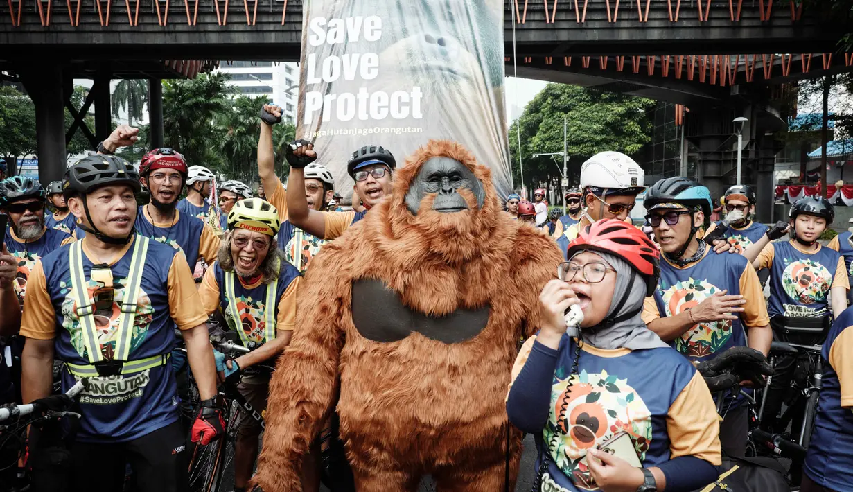 Lembaga Swadaya Masyarakat (LSM) lingkungan Satya Bumi menggelar aksi seruan perlindungan satwa orangutan saat pelaksanaan Hari Bebas Kendaraan Bermotor (HBKB) atau Car Free Day (CFD) di Jakarta pada 24 Agustus 2025. (YASUYOSHI CHIBA/AFP)