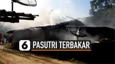 PASUTRI TERBAKAR