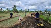 Program Pemberdayaan Klaster Usaha dari BRI Dorong Produktivitas Para Petani di Merauke