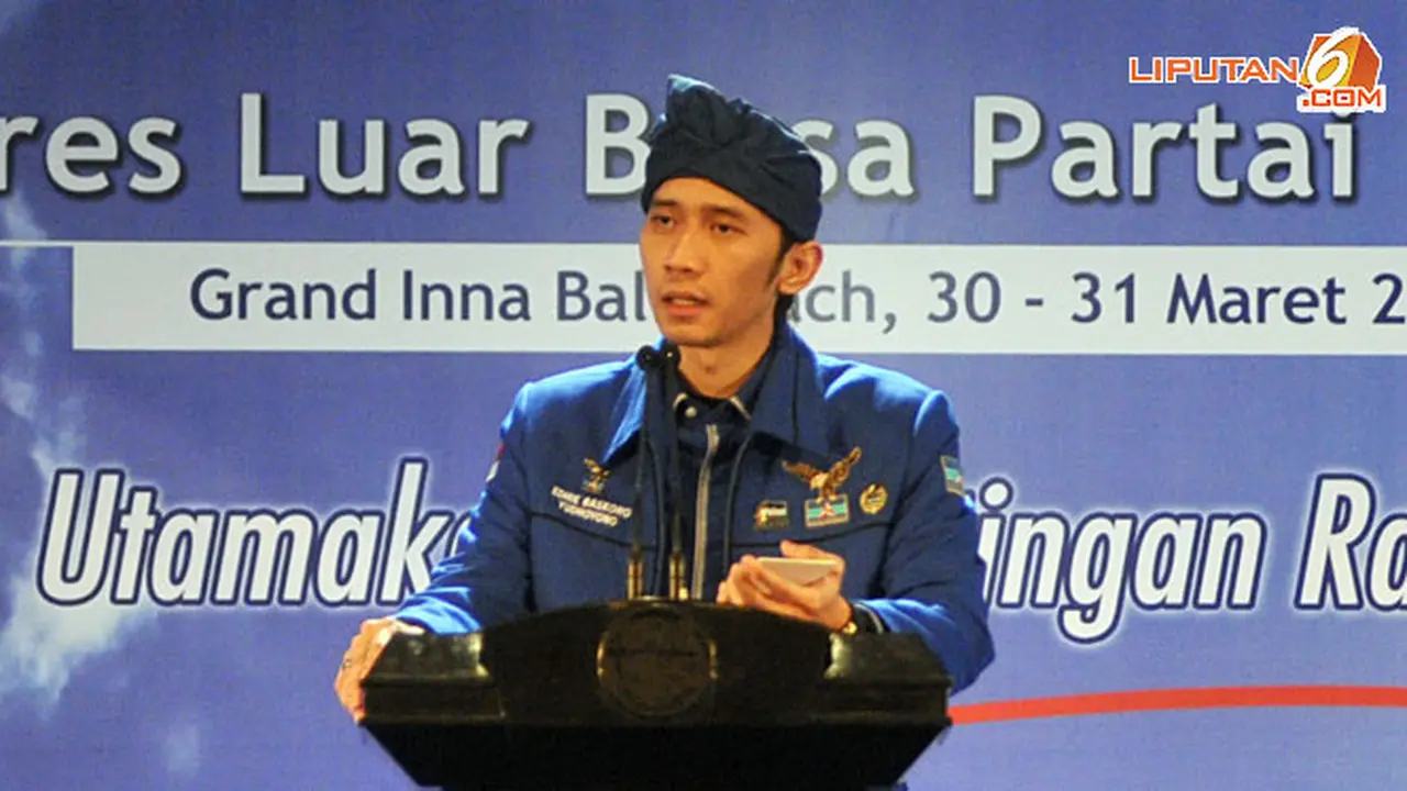 ibas-2-130330b.jpg