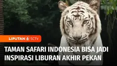 Bingung mencari tempat berlibur yang sejuk dan menyenangkan di akhir pekan ? Taman Safari Indonesia di Kabupaten Bogor, Jawa Barat, bisa menjadi salah satu tujuannya. Menjadi tempat wisata favorit, karena di sini ribuan satwa bebas berkeliaran.