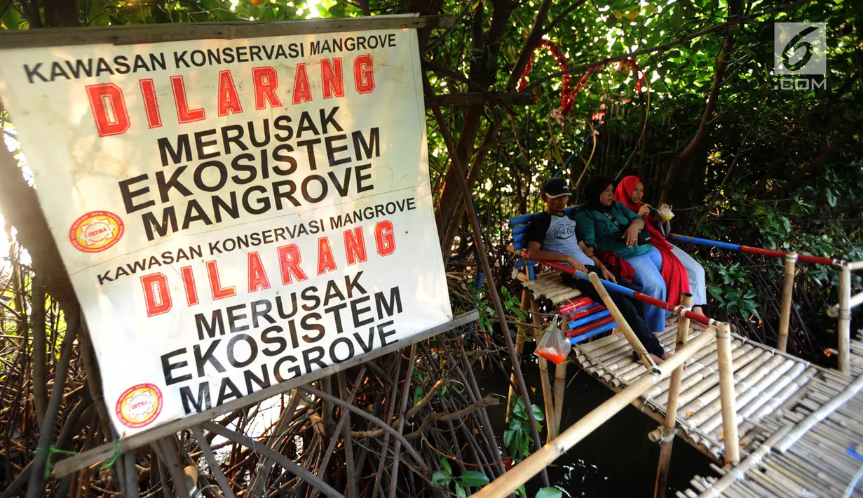 Wisatawan saat mengunjungi hutan mangrove di Sungai Rindu, Desa Hurip Jaya, Babelan, Bekasi, Jumat (7/6/2019).Dengan membayar perahu Rp 10 ribu per orang, wisatawan sudah bisa berkeliling sambil menikmati kopi dalam hutan mangrove. (merdeka.com/Arie Basuki)