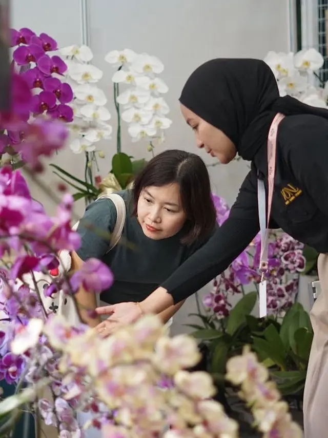 Mengenal Alocasia di FLOII Expo 2025, Si Tanaman Daun Eksotis dari Daerah Tropis