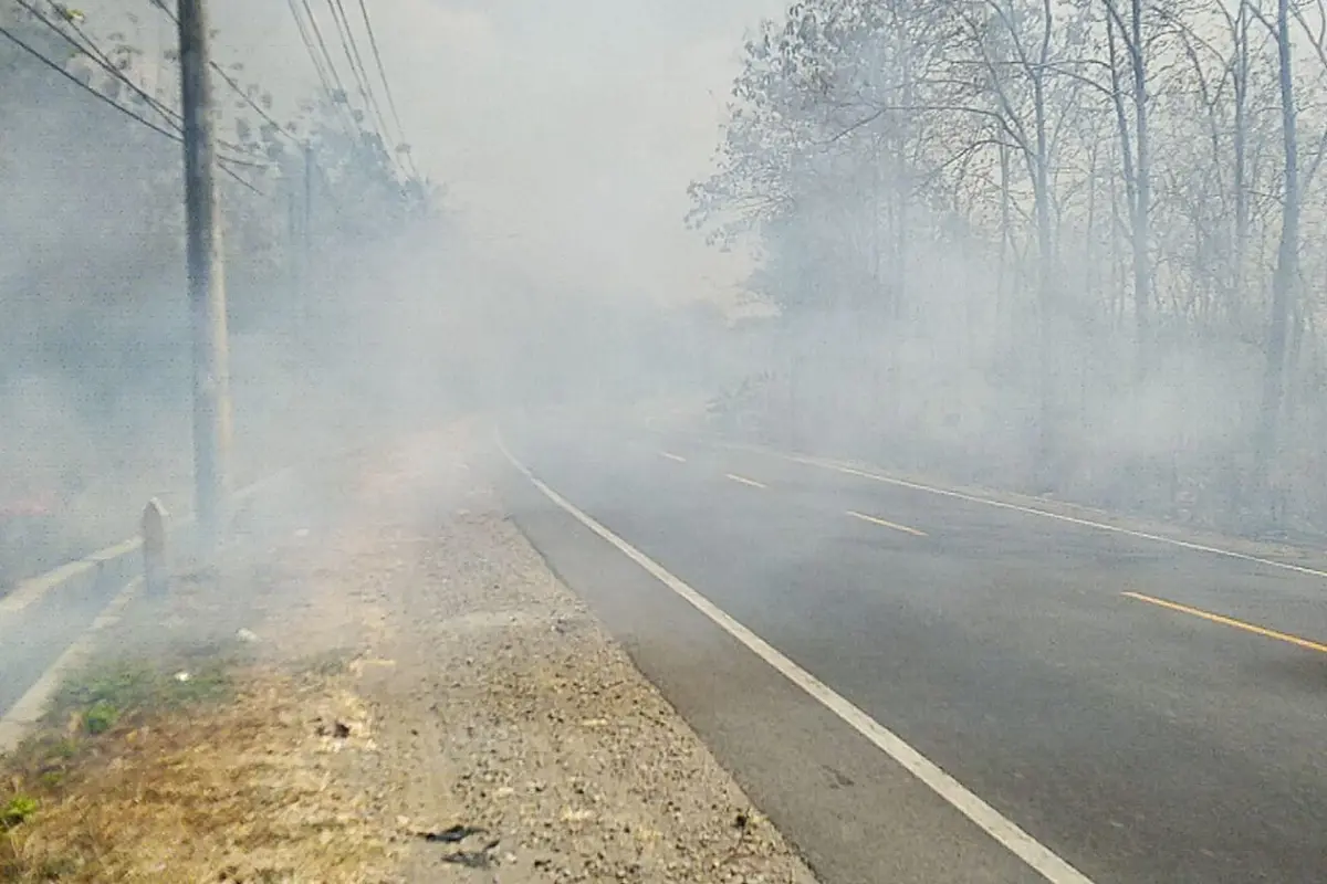 Hutan Jati Blora Terbakar