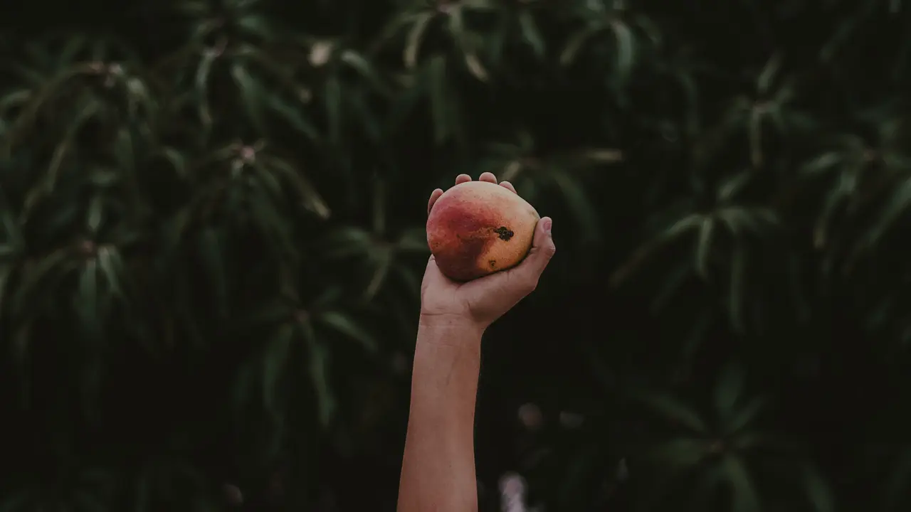 [Fimela] Mangga