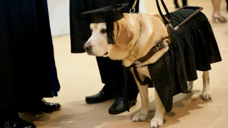 Kirsch saat mendampingi Carlos Mara saat diwisuda di Johns Hopkins University