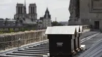 Tiga sarang lebah selamat dari kebakaran Katedral Notre Dame di Paris (AFP/Patrick Kovarik)