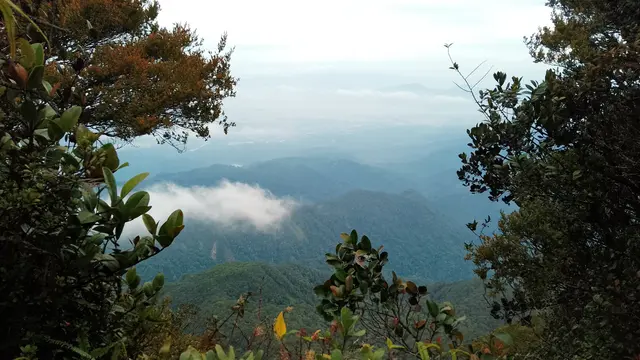 Area Gunung Korbu di Malaysia. (Dok: Gunung Bagging)