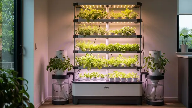 Desain Kebun Hidroponik Vertikal Indoor/Gemini AI