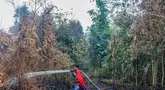 Pelajar bernama Rudiansyah dengan mengenakan kostum Superman membantu memadamkan kebakaran hutan dan lahan di Petuk Katimpun, Palangkaraya, Kalimantan Tengah, 17 Agustus 2026. (AFP/ Reina)