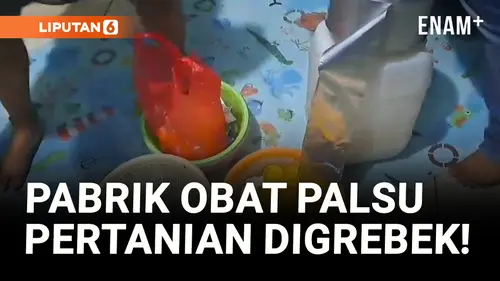 VIDEO: Omset 150 Juta per Minggu, Pabrik Obat Pertanian Palsu Digerebek!