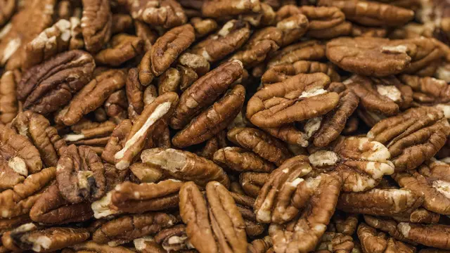 Kacang Pecan Siap Olah, Hasil Panen dari Pohon Berukuran Besar