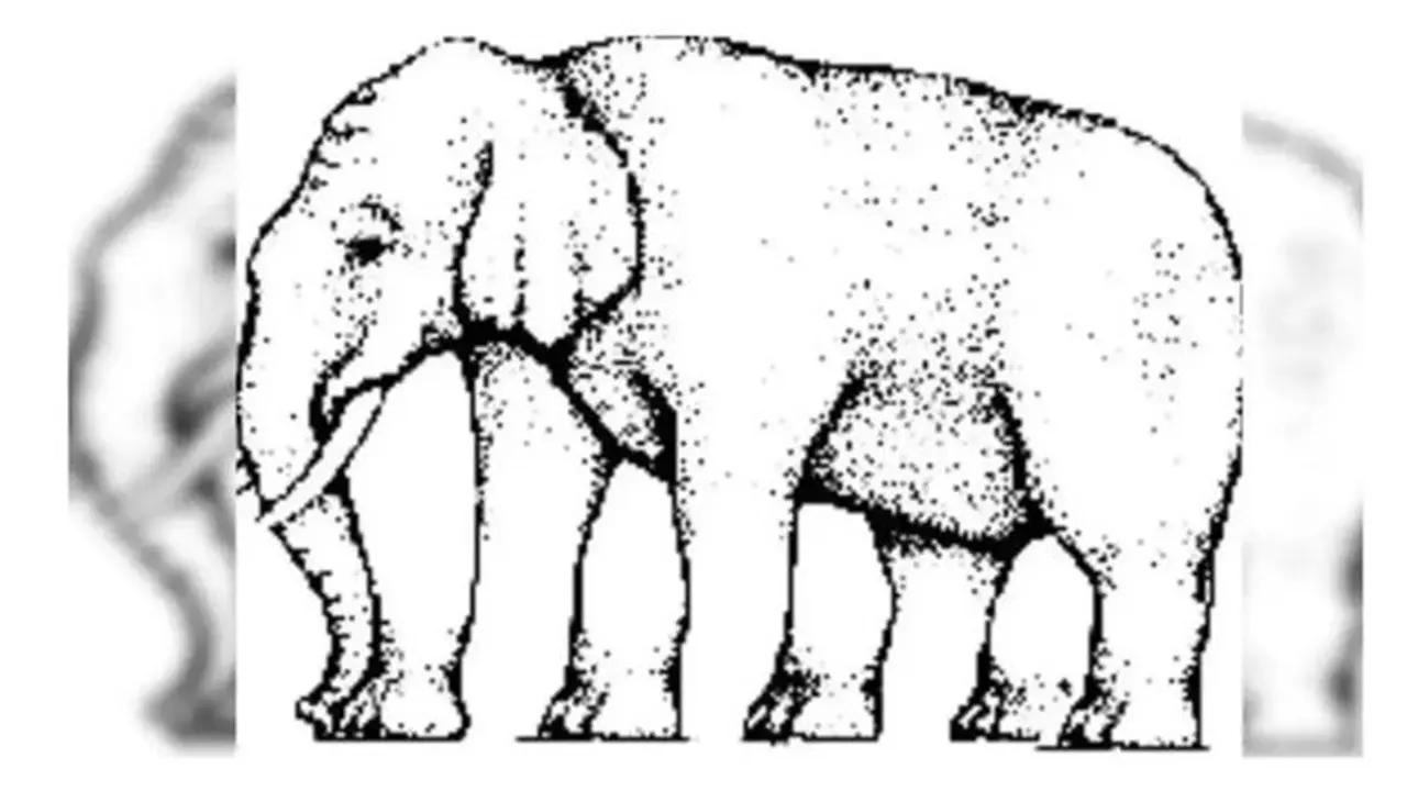 Ada Berapa Kaki Gajah Pada Gambar Ini? Ilusinya Bikin Gagal Fokus
